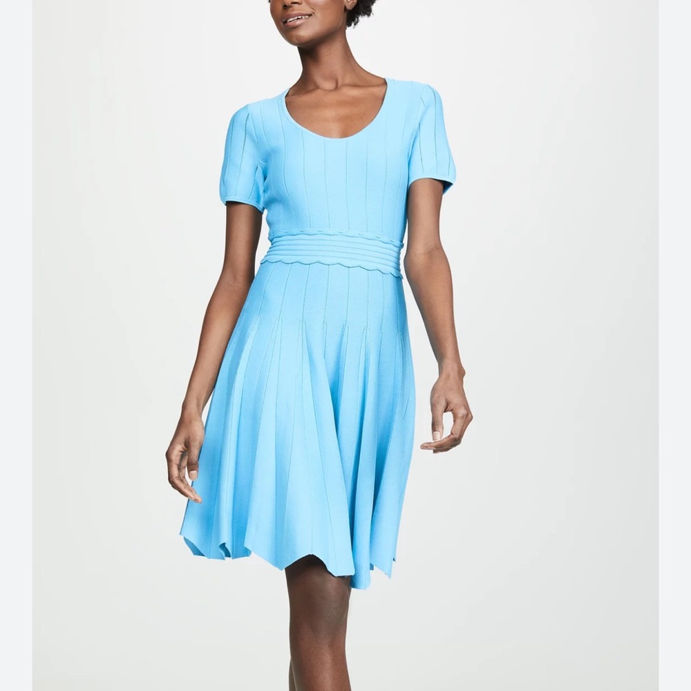 Shoshanna Blue short Sleeve Jonetta Knit
Fit and Flare Dress - Picture 1 of 7